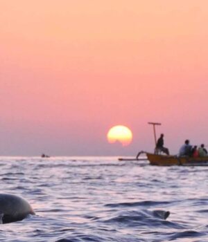 Dolphin Tour Lovina