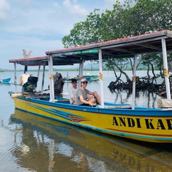 Mangrove Tour Gilimanuk