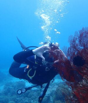 Diving Menjangan Island