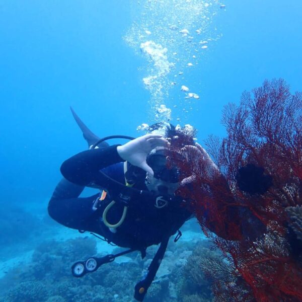 Diving Menjangan Island