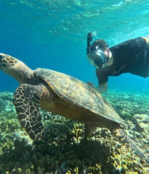 Snorkeling Menjangan Island