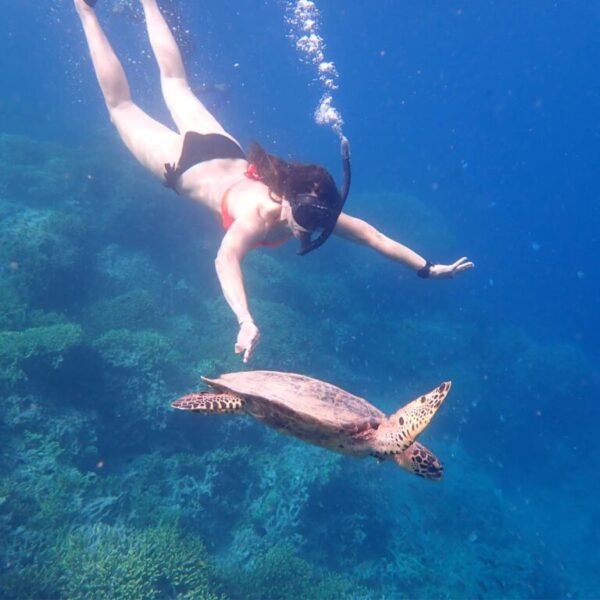 Snorkeling Menjangan Island