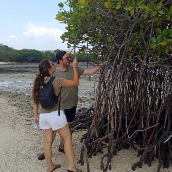 Mangrove Tour Banyuwedang