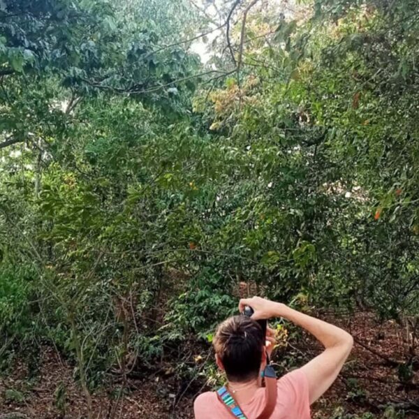 Hiking Brumbun Bay
