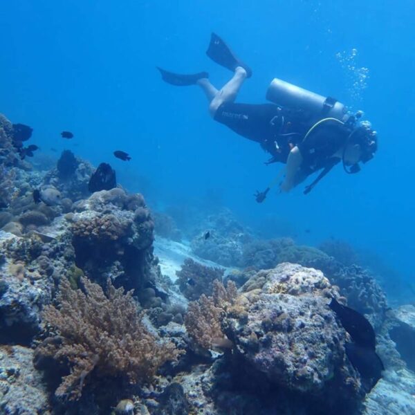 Diving Menjangan Island