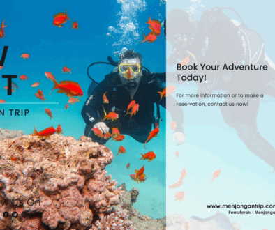 Snorkeling & Diving Menjangan island