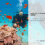 Snorkeling & Diving Menjangan island