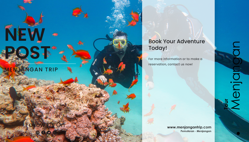 Snorkeling & Diving Menjangan island